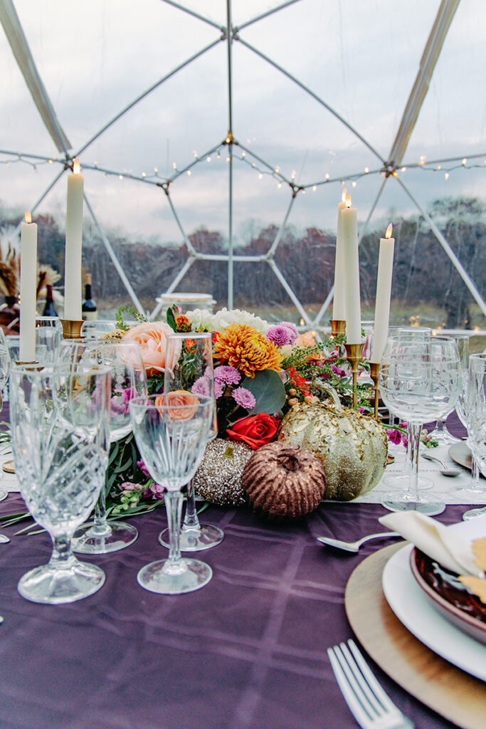 Skyview Dome for rent