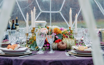 A Cozy November Skyview Dome Dining Experience